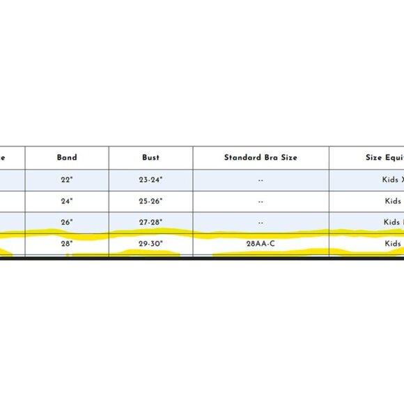 NWT Grey and Aqua Reversible Bluet Training Bra - Size 12 - Picture 6 of 6